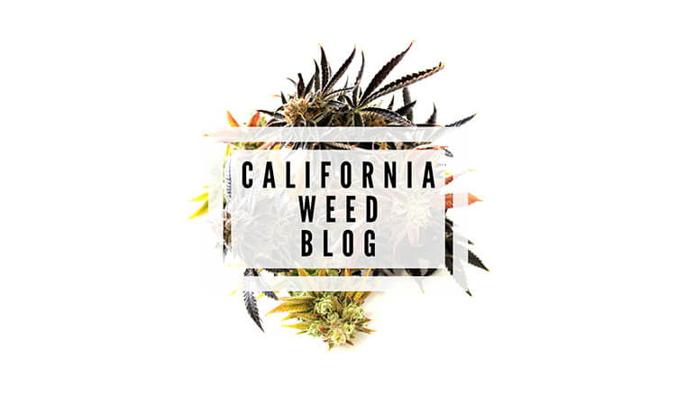 Event Review & Interviews: NCIA Cannabis Business Summit in San Jose