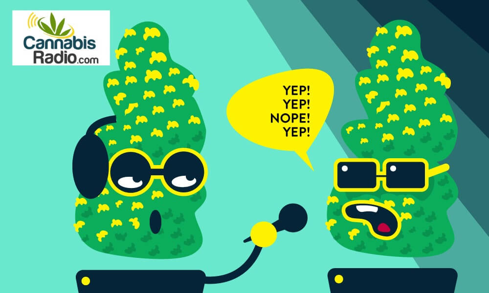 Grass Roots Marketing interviews Scynce LED