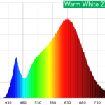 Scynce_WarmWhite_RagingKale