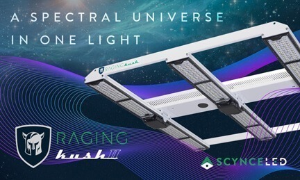Scynce LED launches the next generation of vertical cannabis lighting with their Raging Kush 2