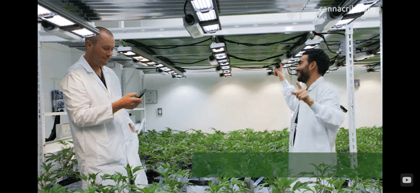 Planet 13 Canna Cribs episode