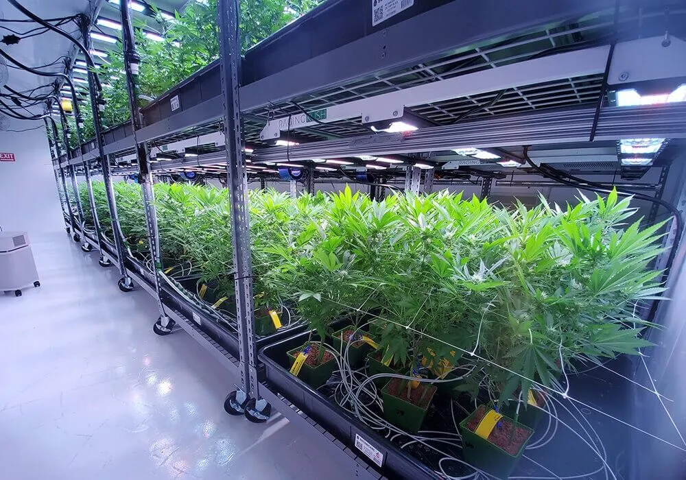 DIY Vertical Farming: A Comprehensive Guide for Growers